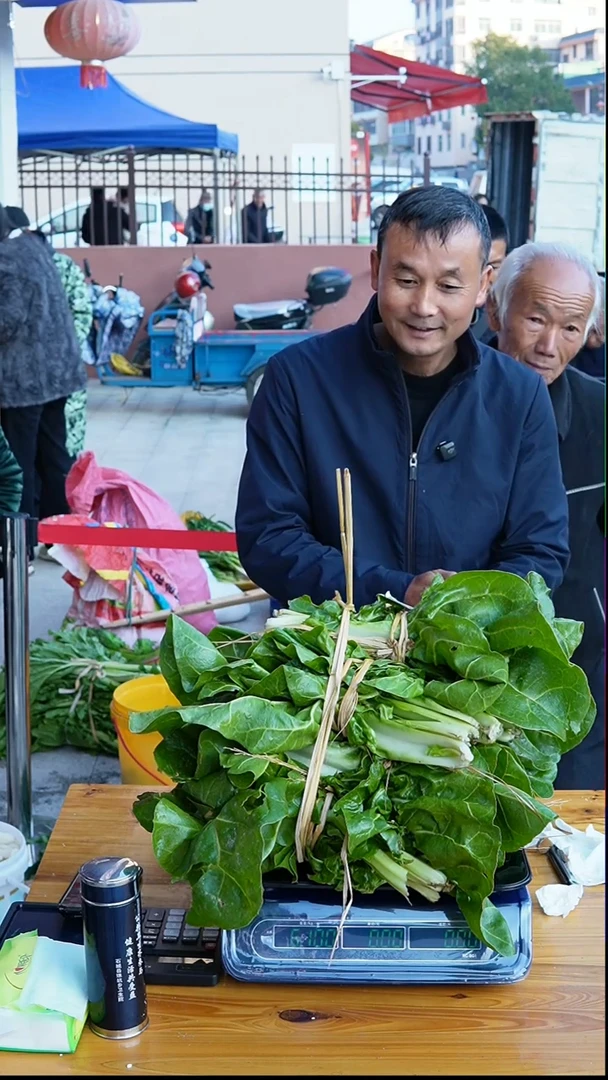 中国大陆农家金塔3斤