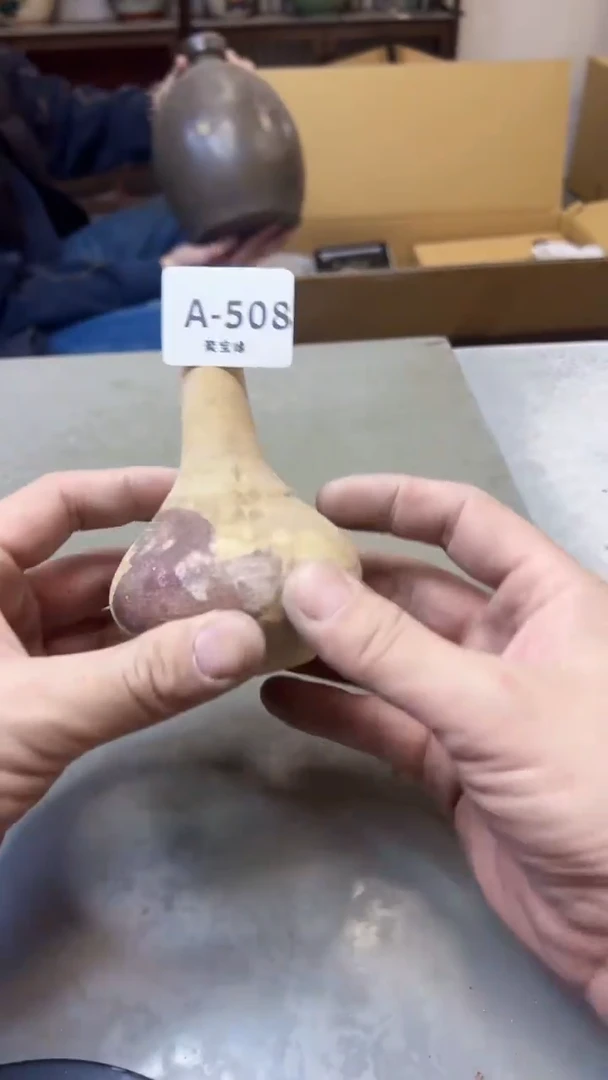 【闪购商品】瓷片508聚宝缘海淘精选