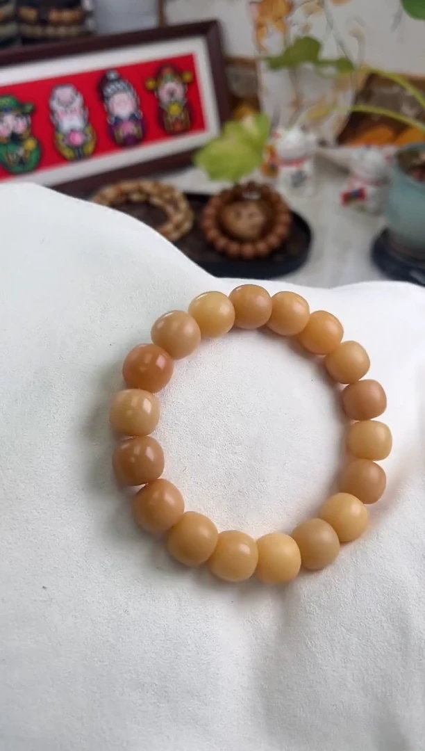 手串菩提根/象牙果a150 卡13.8 干磨海子