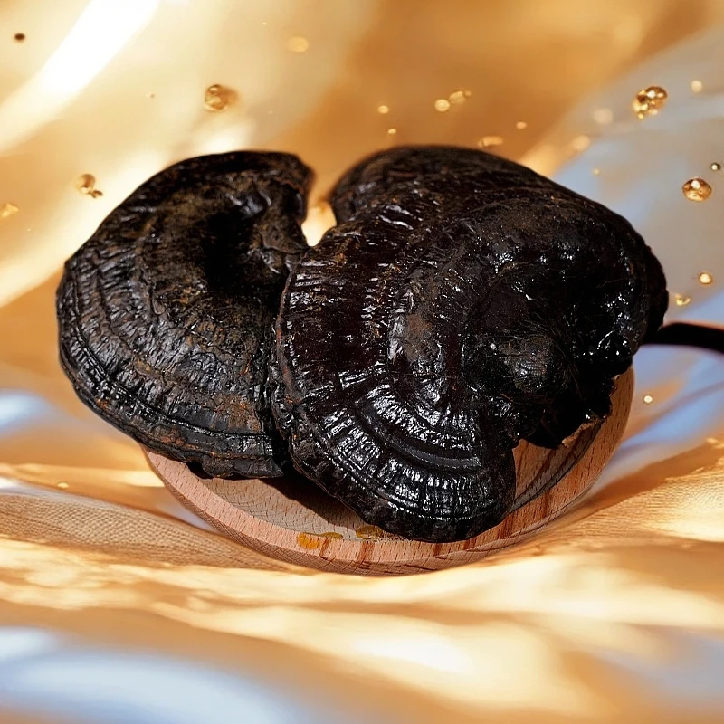 长白山黑灵芝一枚（以实际收到货为准)