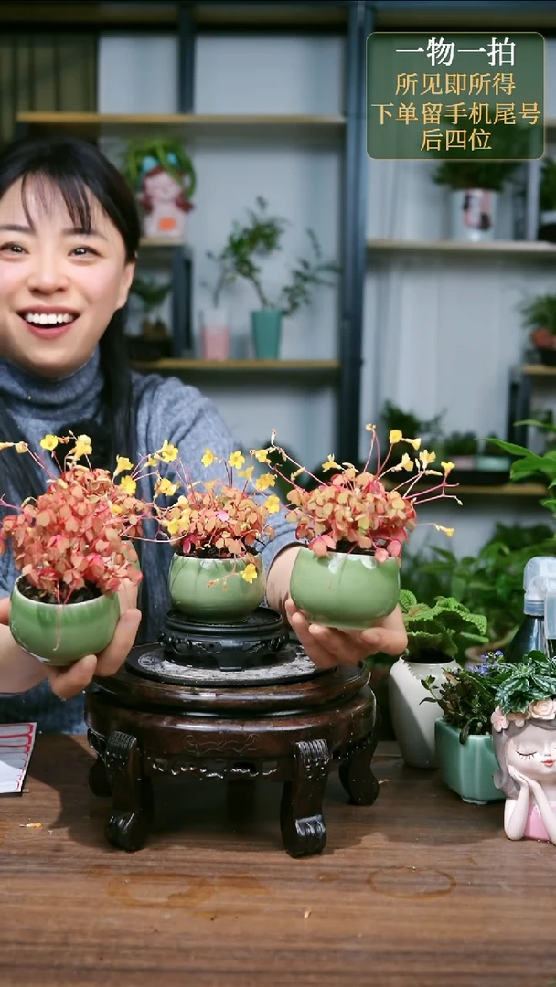 【闪购商品】2熔岩绿色随机