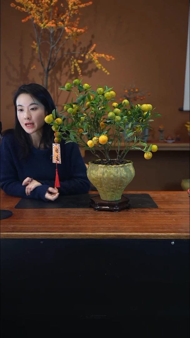 全部花朵雪***?小金橘黄盆盆景盆景盆景