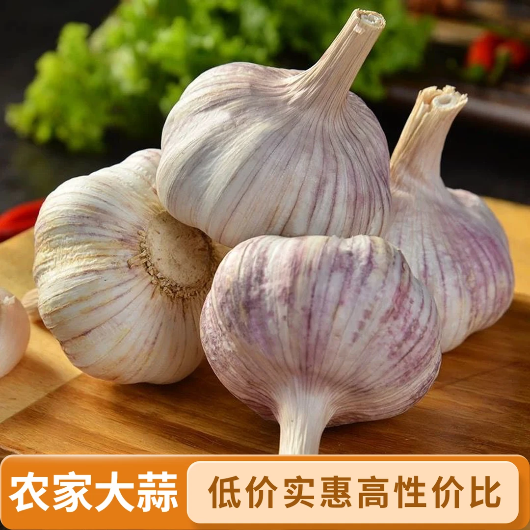 【农家土大蒜】大蒜头干蒜5斤3斤干大蒜产地直发当季干紫白皮大蒜头