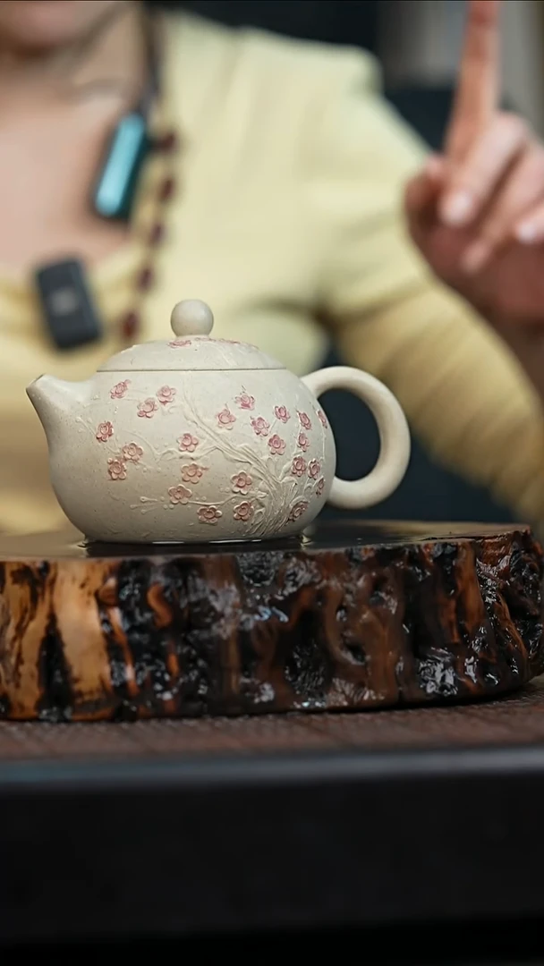 宜兴岁颐传砂原矿全手1