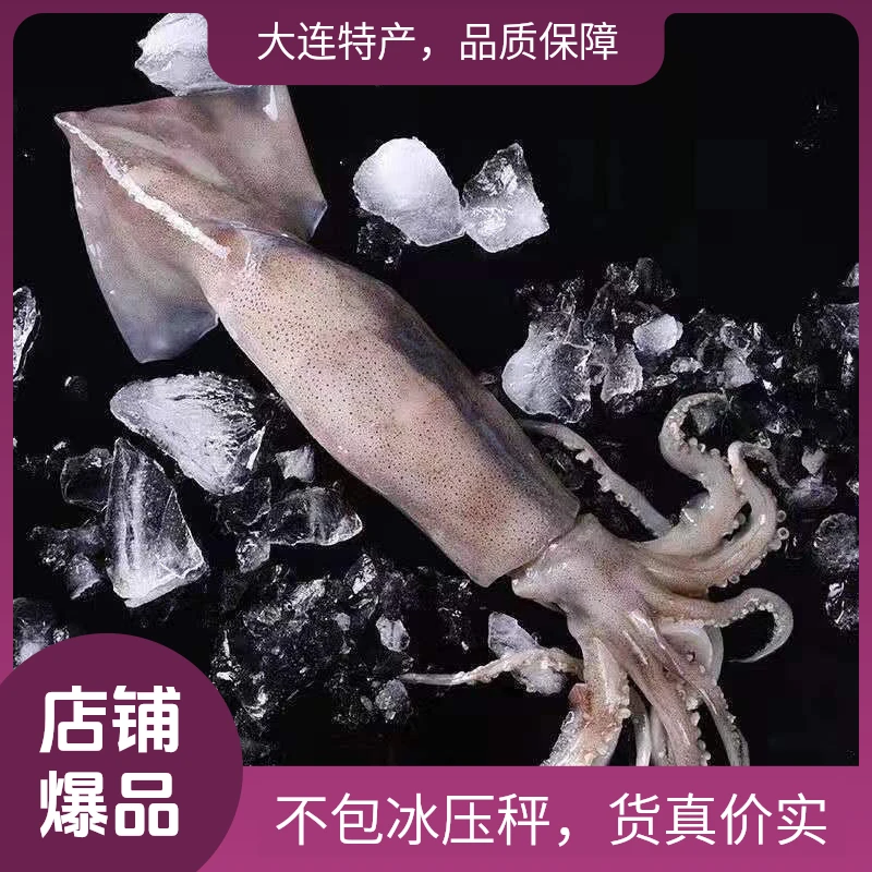 大连本地鱿鱼新鲜省外冻发
