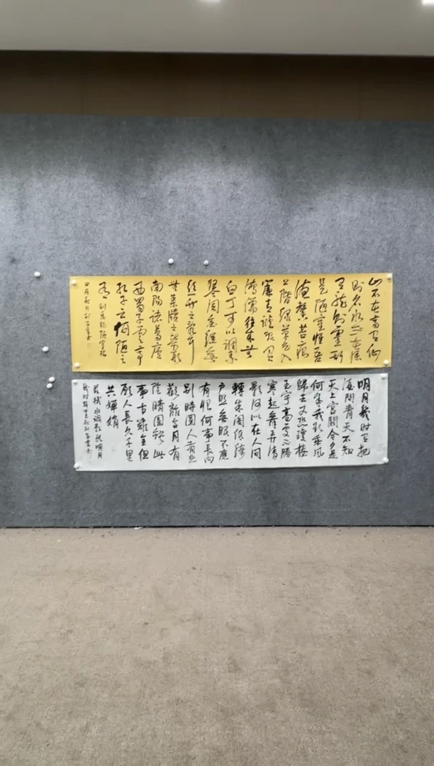 【闪购商品】书法pmw不二轩旗舰店书法LAZ65