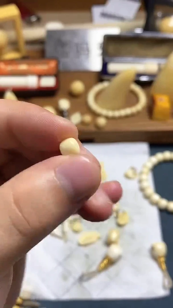 木质类疯***壳鲸物严选一物一图