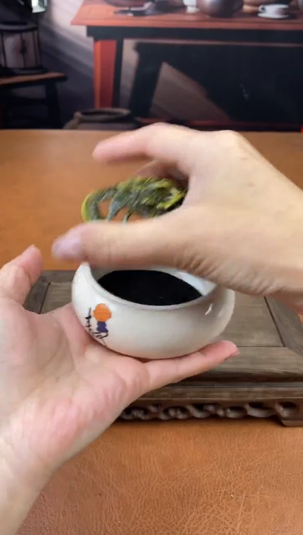 【闪购商品】陶禧茶器闪购福利V