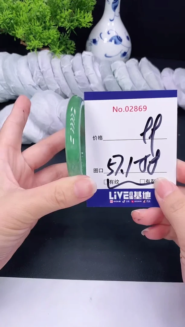 未镶嵌手镯翡翠2869