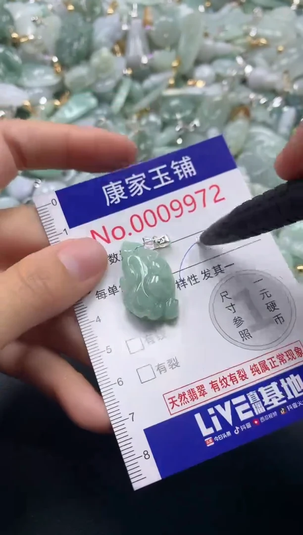 颈饰未镶嵌翡翠9972