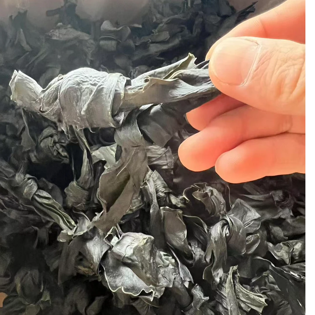 福建霞浦烘干海带结味鲜肉美无沙煲汤凉拌麻辣烫涮火锅商业家用