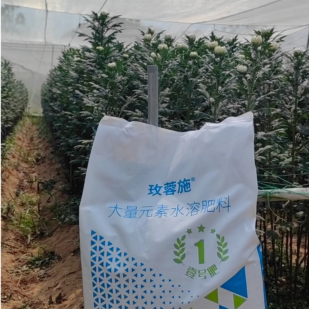 玫蓉施1号肥19-19-19+te+ha