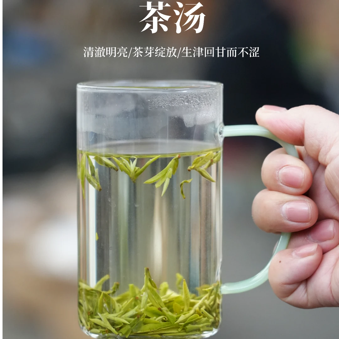 【25年新茶】碧螺春明前二采，一芽一叶鲜爽回甘花果香~