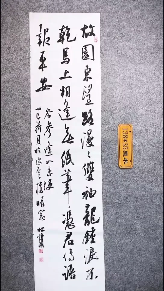 书法117中书协 杜潇书法放漏