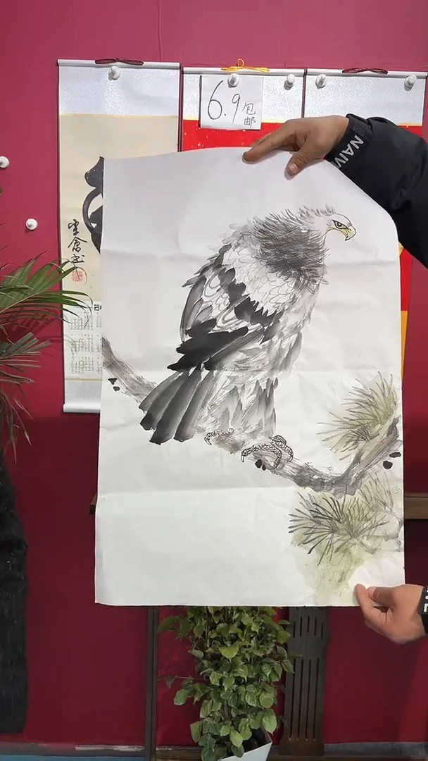 书法鹰666666666666