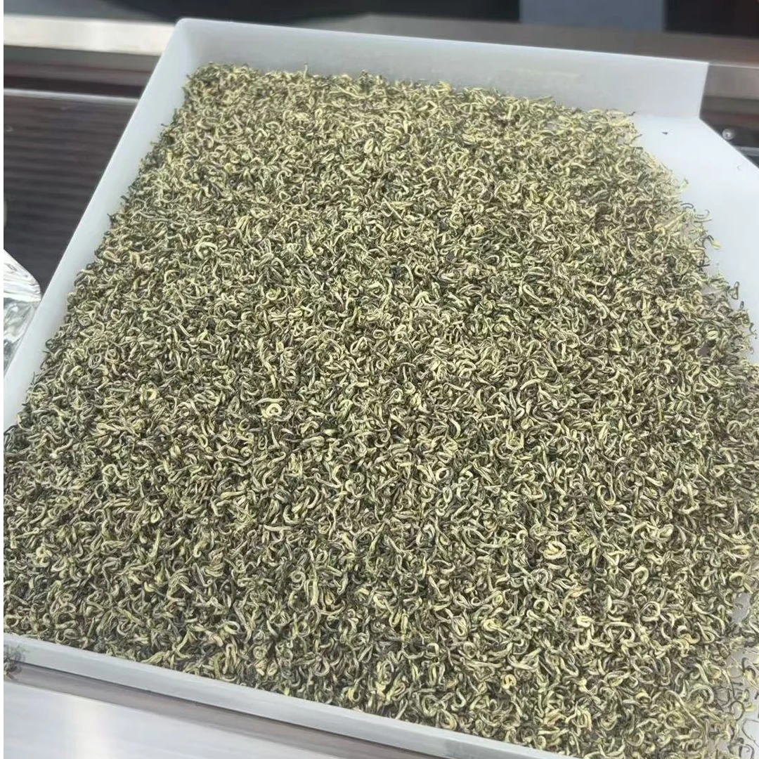 2025年新茶碧螺春花香浓郁鲜醇回甘高山嫩芽绿茶