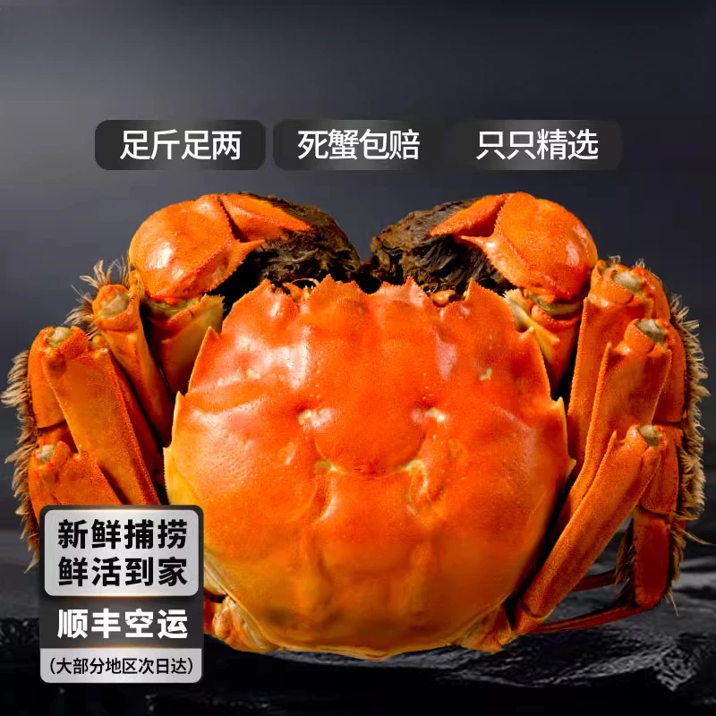 苏州鲜活大闸蟹公蟹6两礼盒到手8只 冷链包邮 清湖价！！！