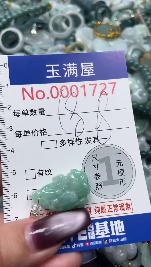 颈饰未镶嵌翡翠1727