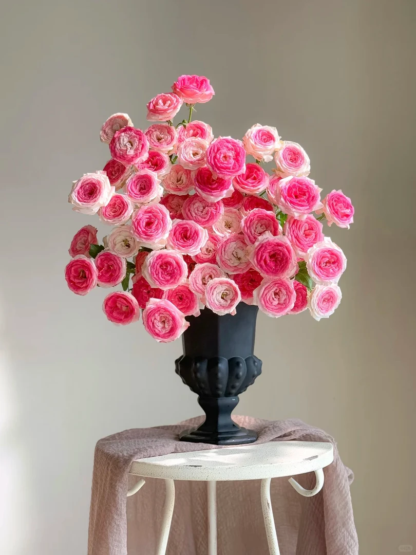 【午夜魔法】 云南玫瑰现采现发  满2单中通特快冷链 送货上门