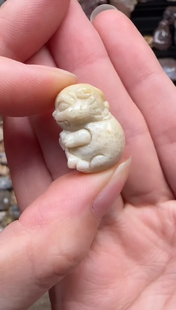颈饰未镶嵌硅化珊瑚（珊瑚玉）002