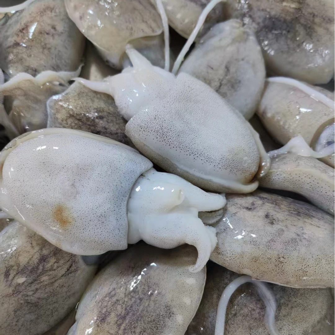 【鲜速达】新鲜海捕正目鱼顺丰冷链运输（到手5斤）精品海鲜