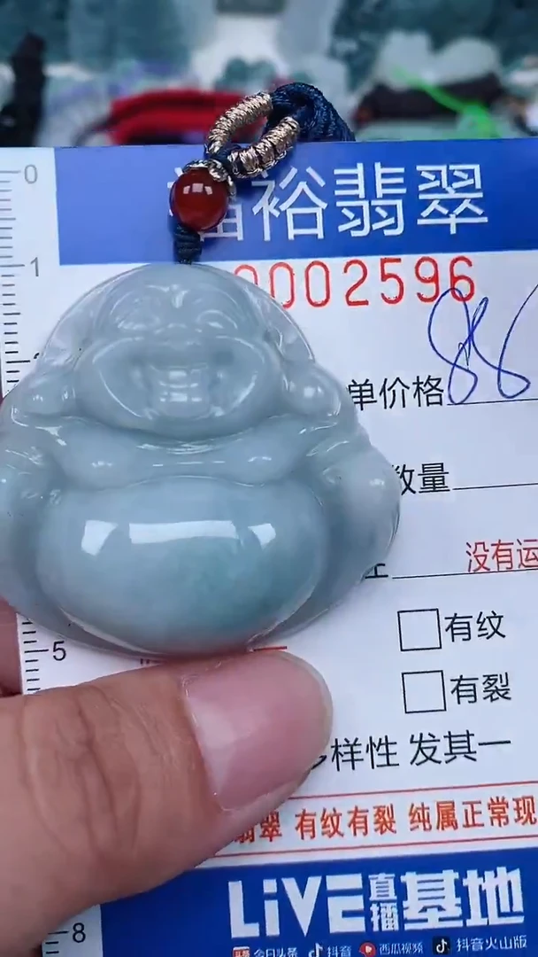 翡翠未镶嵌颈饰...0002596