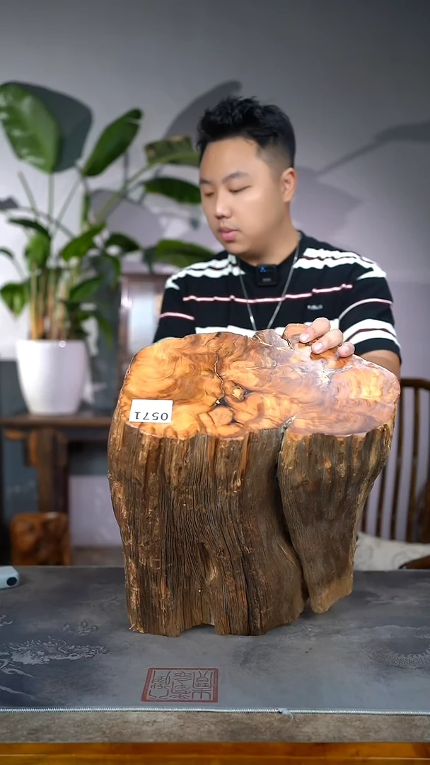 柏木（崖柏）571号陈化黑油料原木甜香圆木墩41/38
