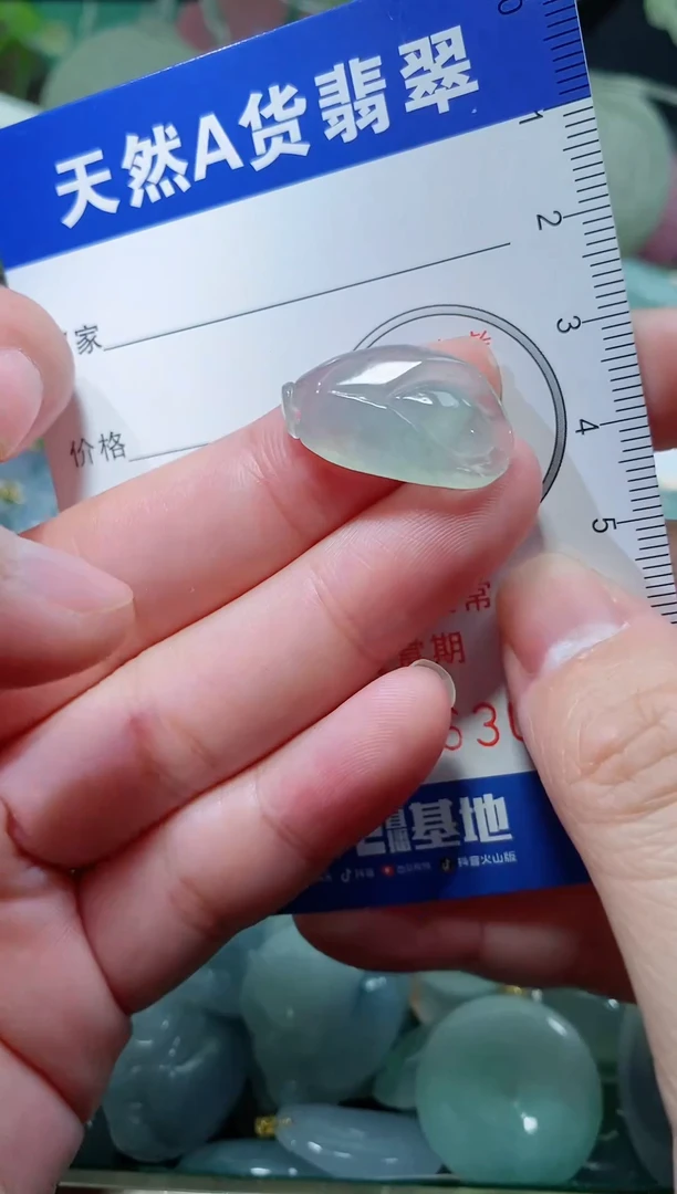 【闪购商品】翡翠颈饰未镶嵌天然A货翡翠一件