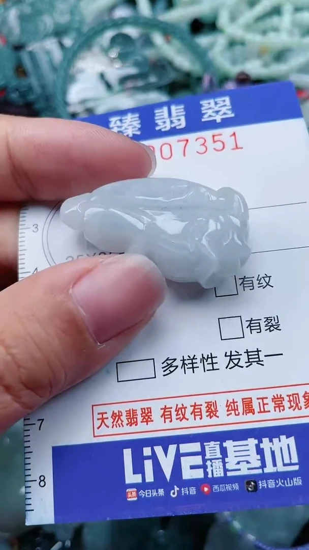 颈饰未镶嵌翡翠.0007351