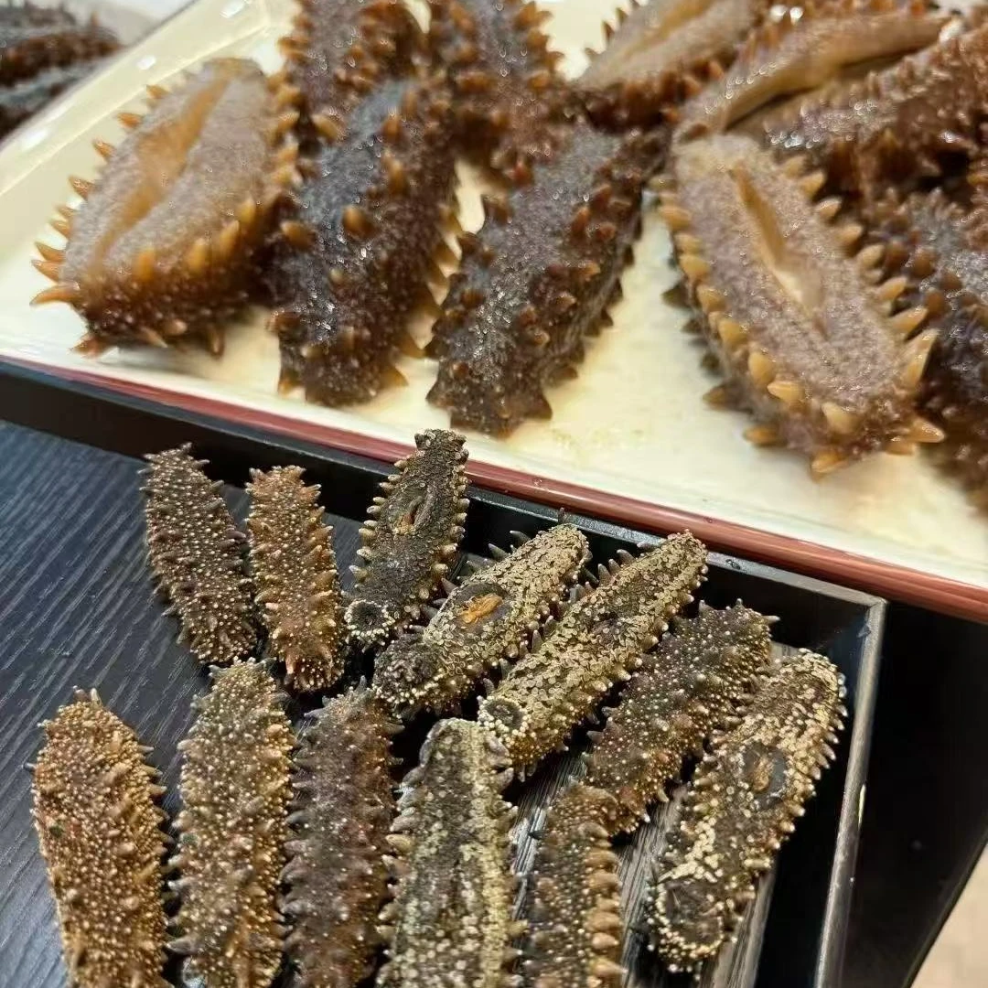 【爱美记】海参刺参 煲汤滋补鱼胶花胶
