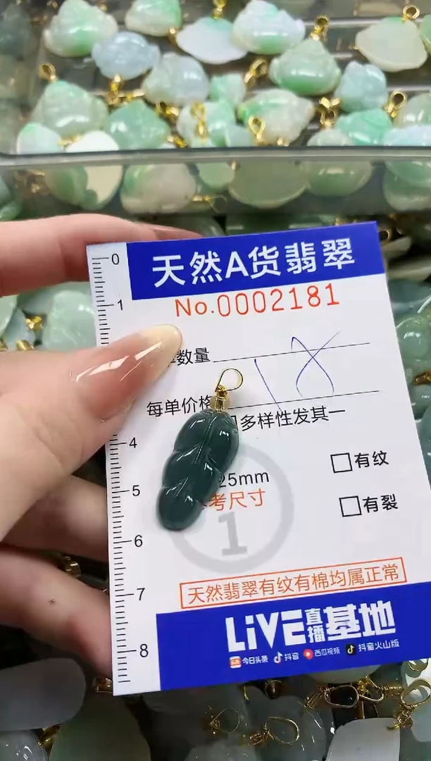 颈饰未镶嵌翡翠天然A货翡翠