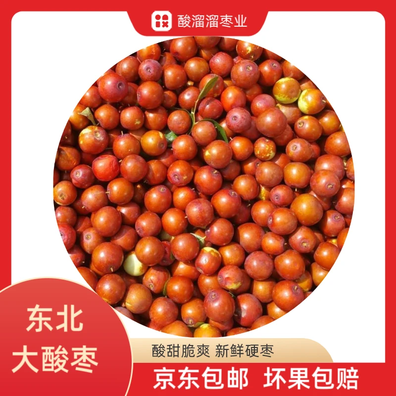东北朝阳大酸枣新鲜硬枣2025 年新货孕妇零食现摘现发货