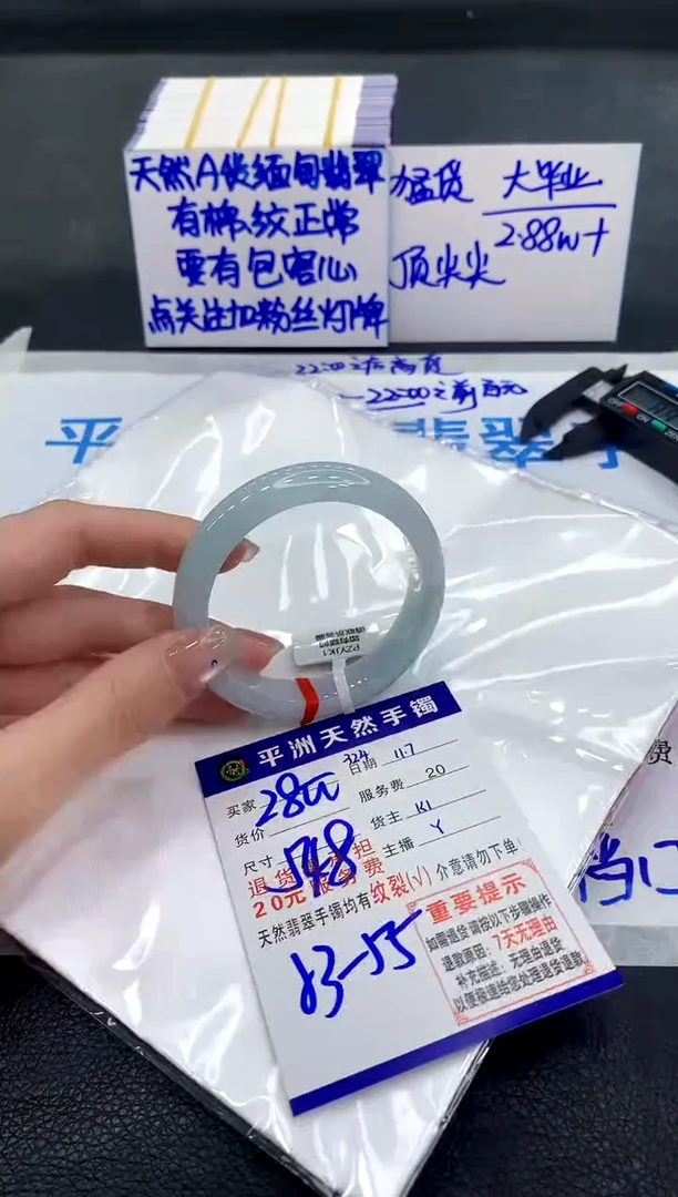 未镶嵌手镯翡翠111111111