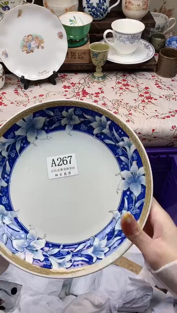 瓷片                A267