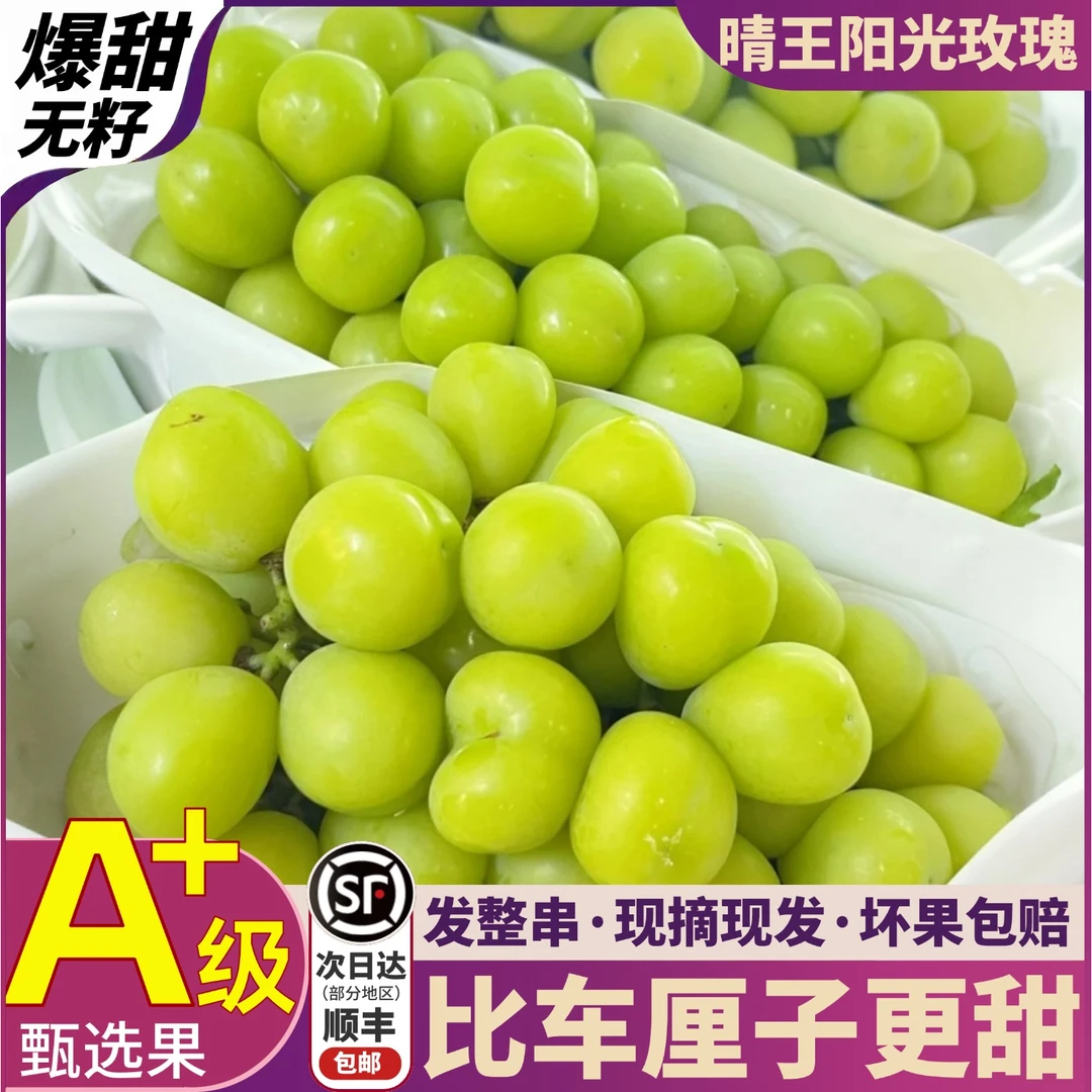 【次日达】顺丰冷链阳光玫瑰葡萄新鲜精选当季水果现摘无籽3/5斤Q