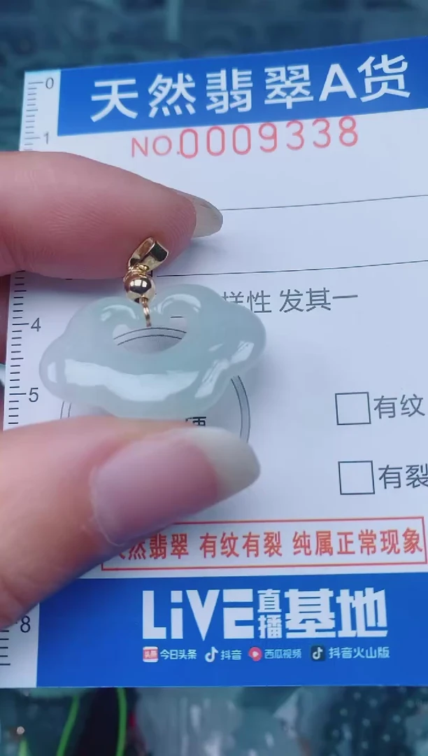 颈饰未镶嵌翡翠00009338