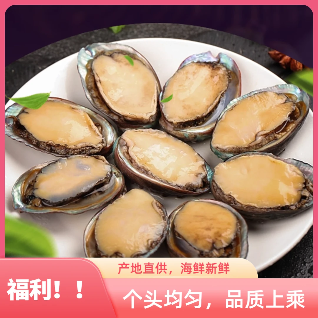 【福利！】南海广东神泉港靓鲍6-7cm水产速冻锁鲜鲍鱼年夜饭新鲜24只