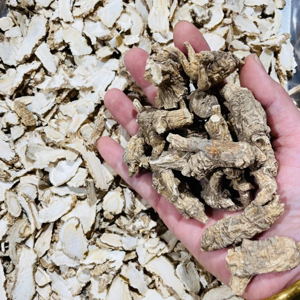 美种花旗参5克粒花皮货