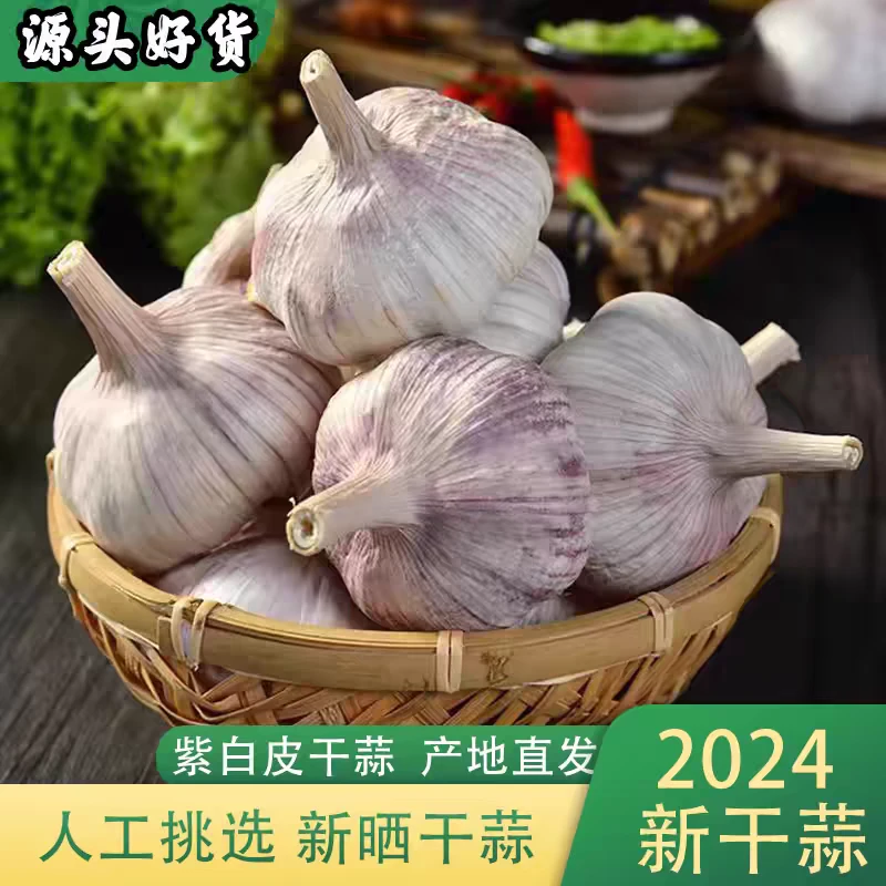 农家大蒜头干蒜头1斤5斤紫白皮新干蒜蒜种籽新鲜蔬菜河南杞县批发