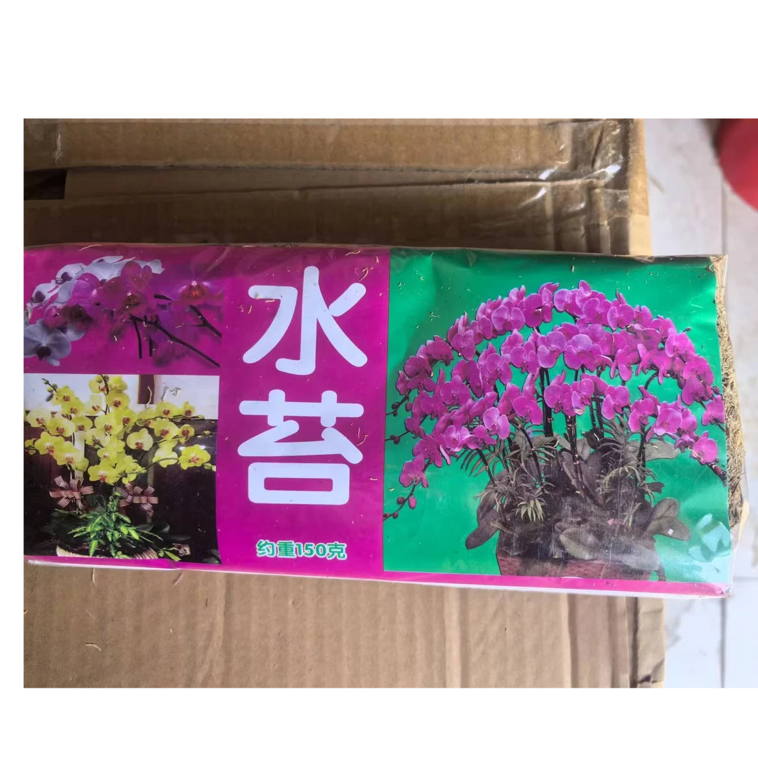 之禾花田蝴蝶兰种植基质（水苔）