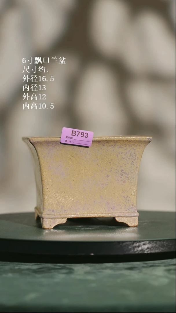 6寸飘口兰盆 793