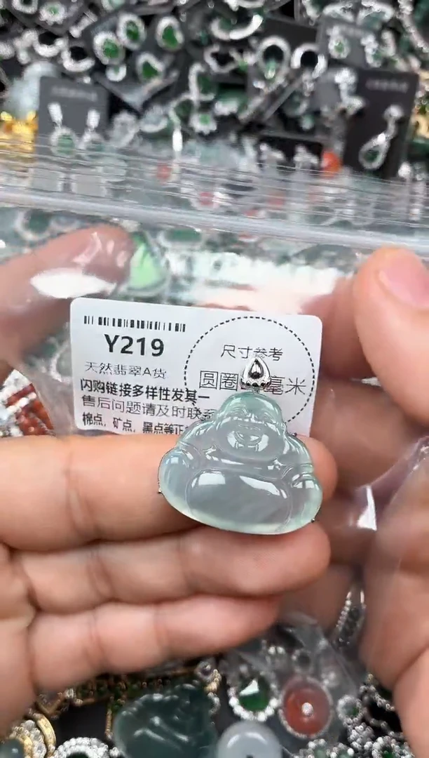 翡翠未镶嵌颈饰Y219有棉团