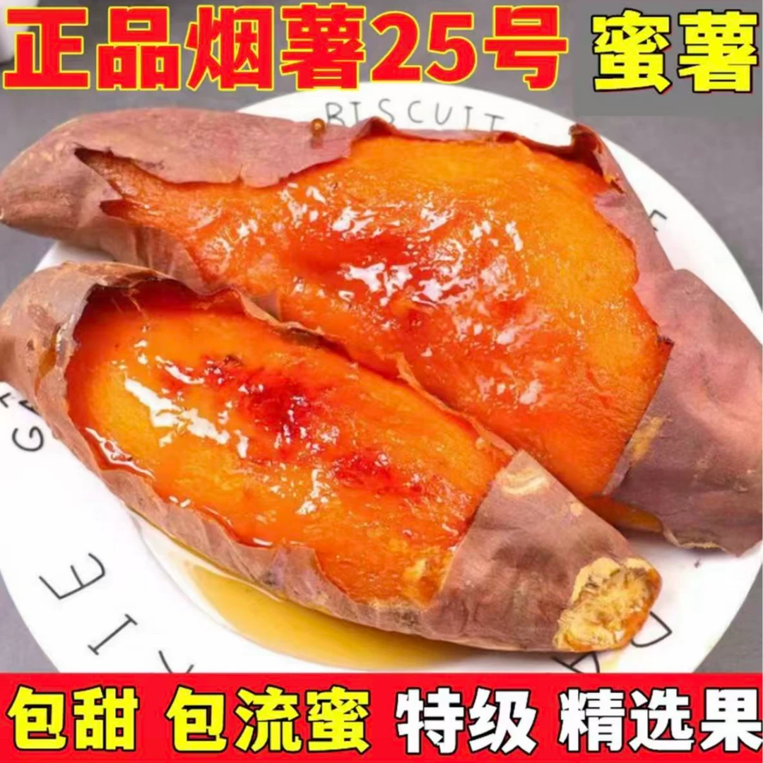 【5斤包邮】山东特产烟薯25新鲜糖心蜜薯流油香甜蒸烤地瓜番薯