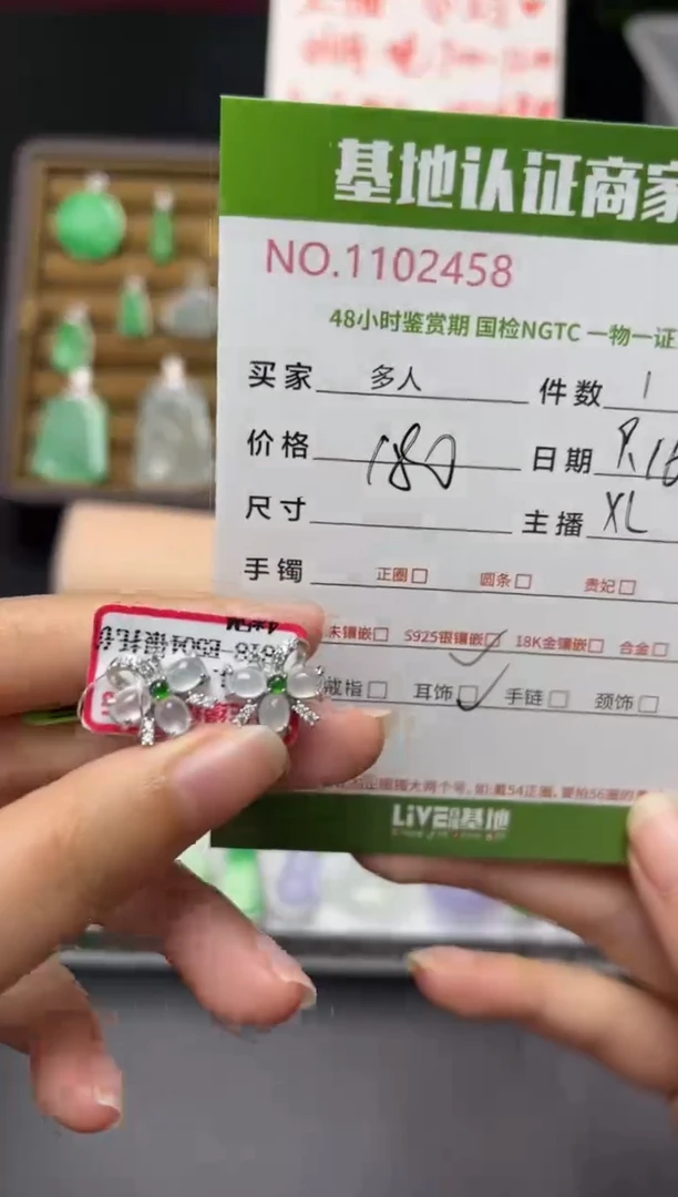 银S925镶嵌翡翠耳饰多人