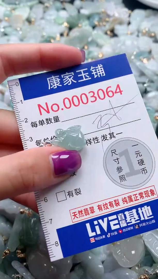 颈饰未镶嵌翡翠3064