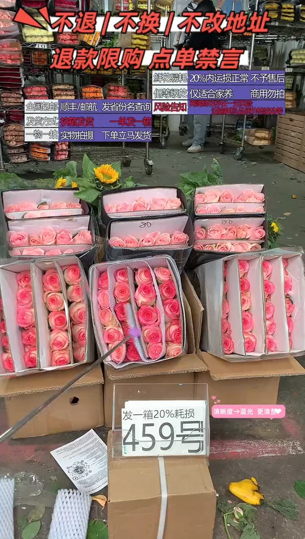 459号♥含20%耗损发一箱