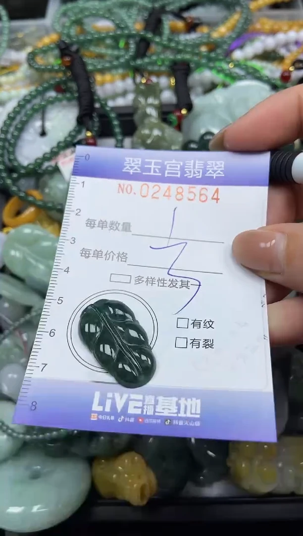 颈饰未镶嵌翡翠闪购C0248564