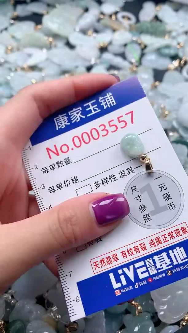 颈饰未镶嵌翡翠3557