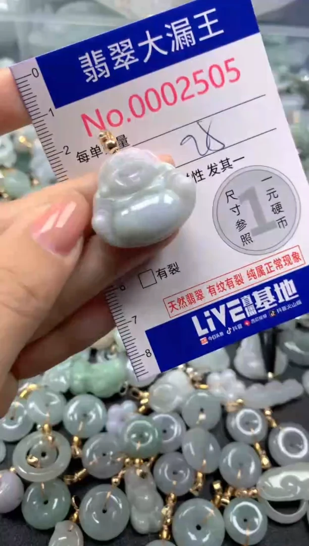 颈饰未镶嵌翡翠2505