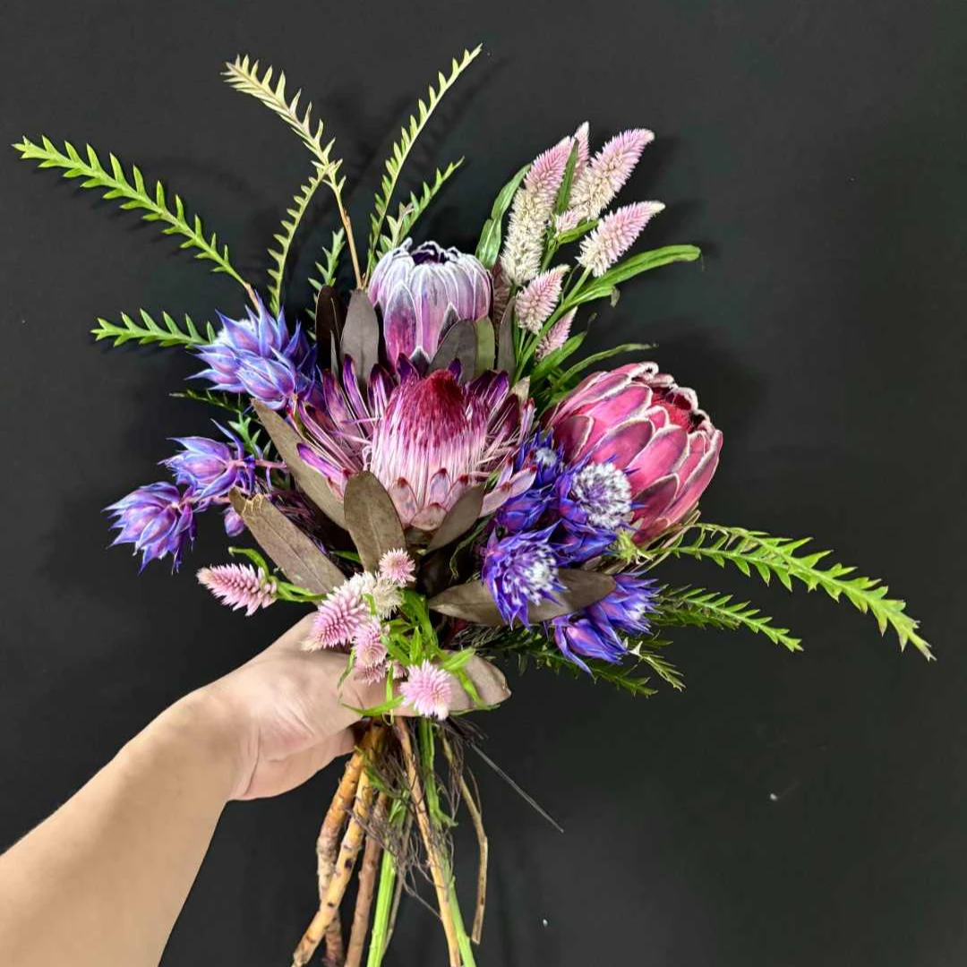 【不是凡花 开场福利】午夜蓝套 植物非标品介意勿拍7月23号